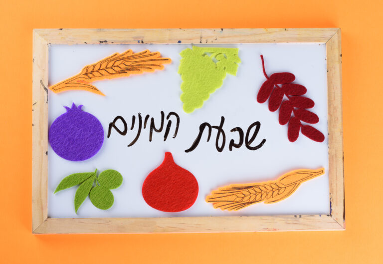 barley-in-the-bible-a-harvest-of-blessing