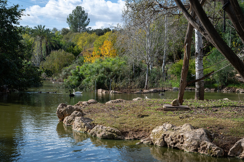 Jerusalem Zoo Animal Sanctuary