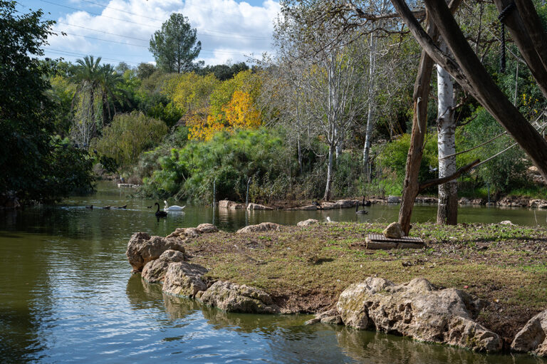 Jerusalem Zoo Animal Sanctuary