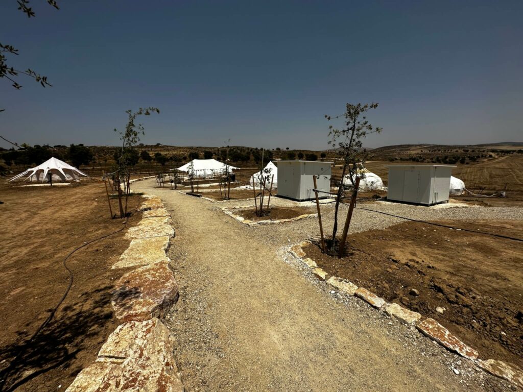 Israeli Farm Being Used For War Trauma Victim Therapy