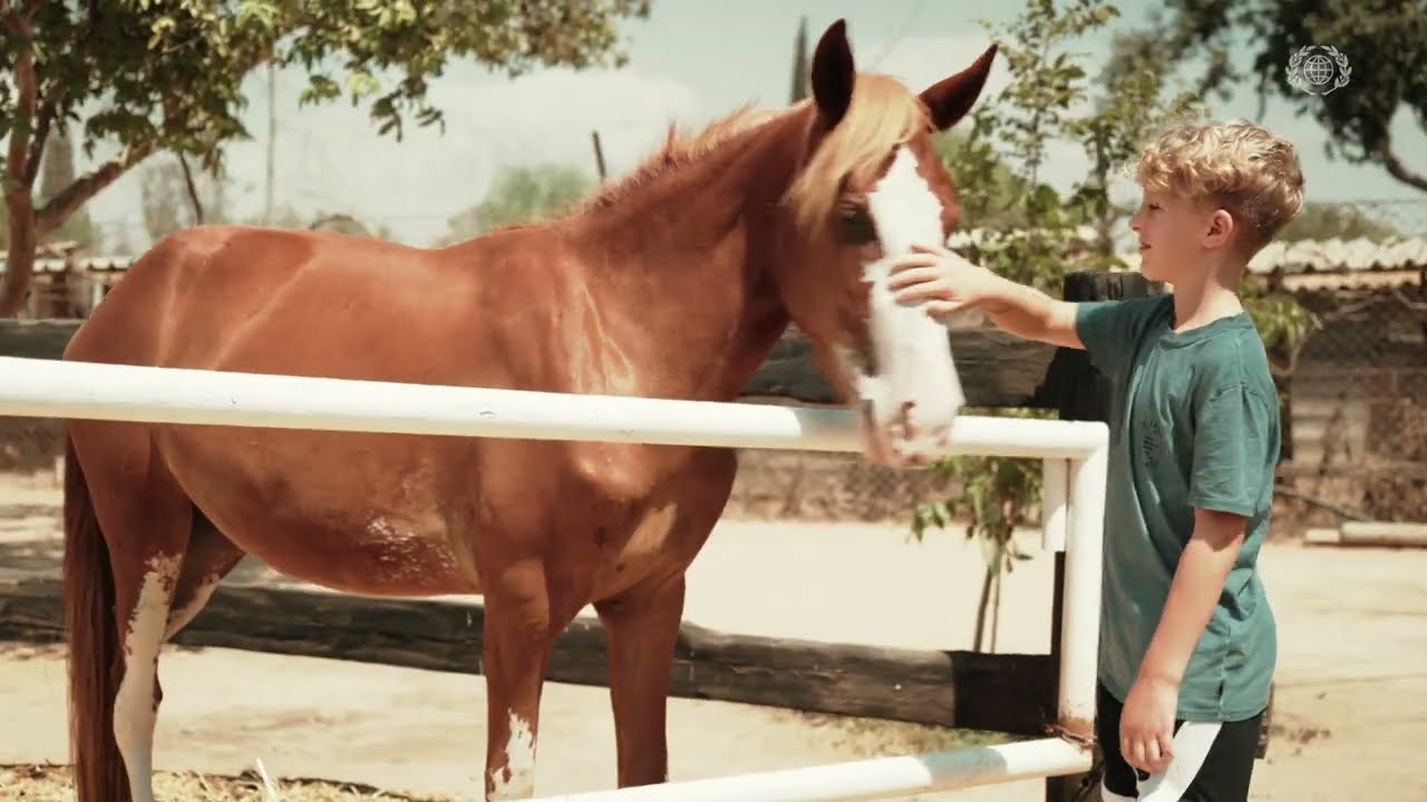 ICEJ donate Therapy Horse to Shiloh Israel