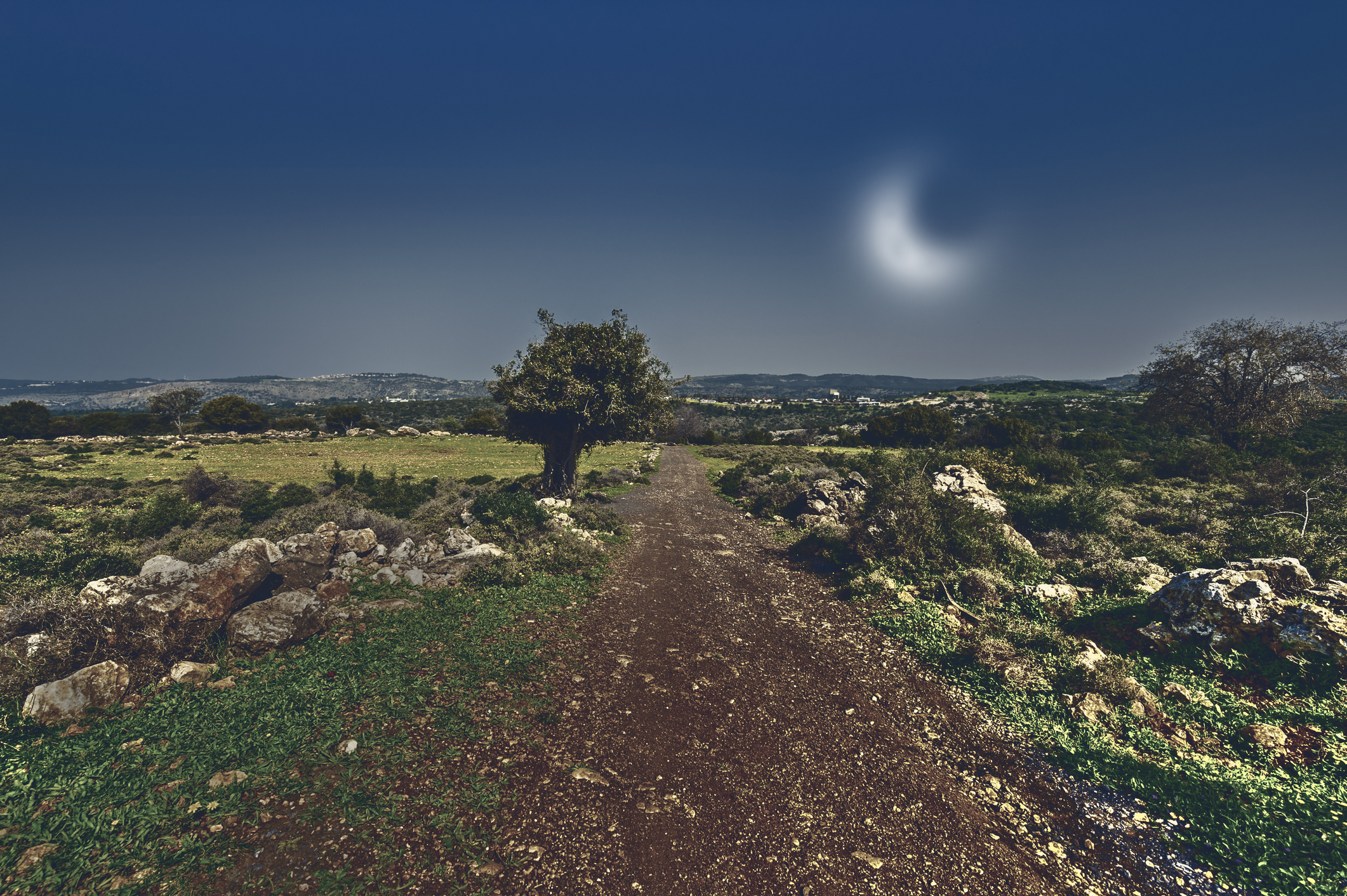 The nature of the western Galilee in Israel with forests, rocks, gorges and olive groves in the light of the moon.