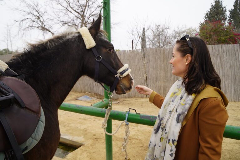 Sarah Way ICEJ Austrailian National Director and Marty The Australian Horse