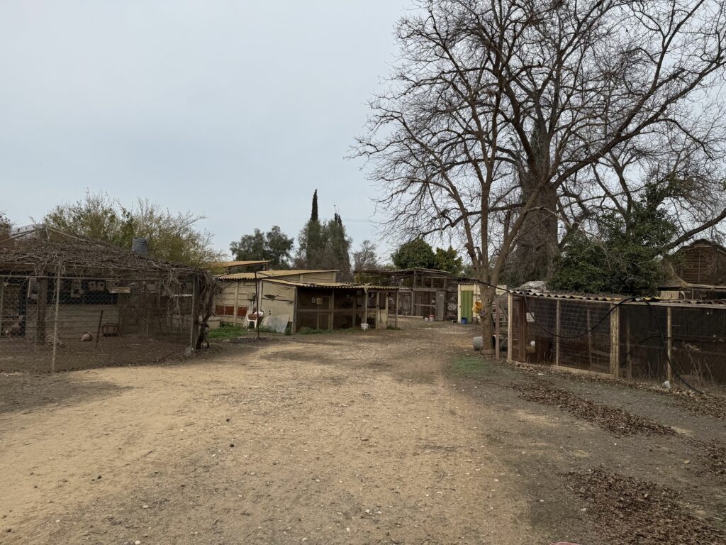 Animal Corner in Kibbutz Urim to be rebuilt for Animal Therapy puropses