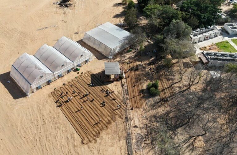 Nativia BuhlerI CEJ Aid Site