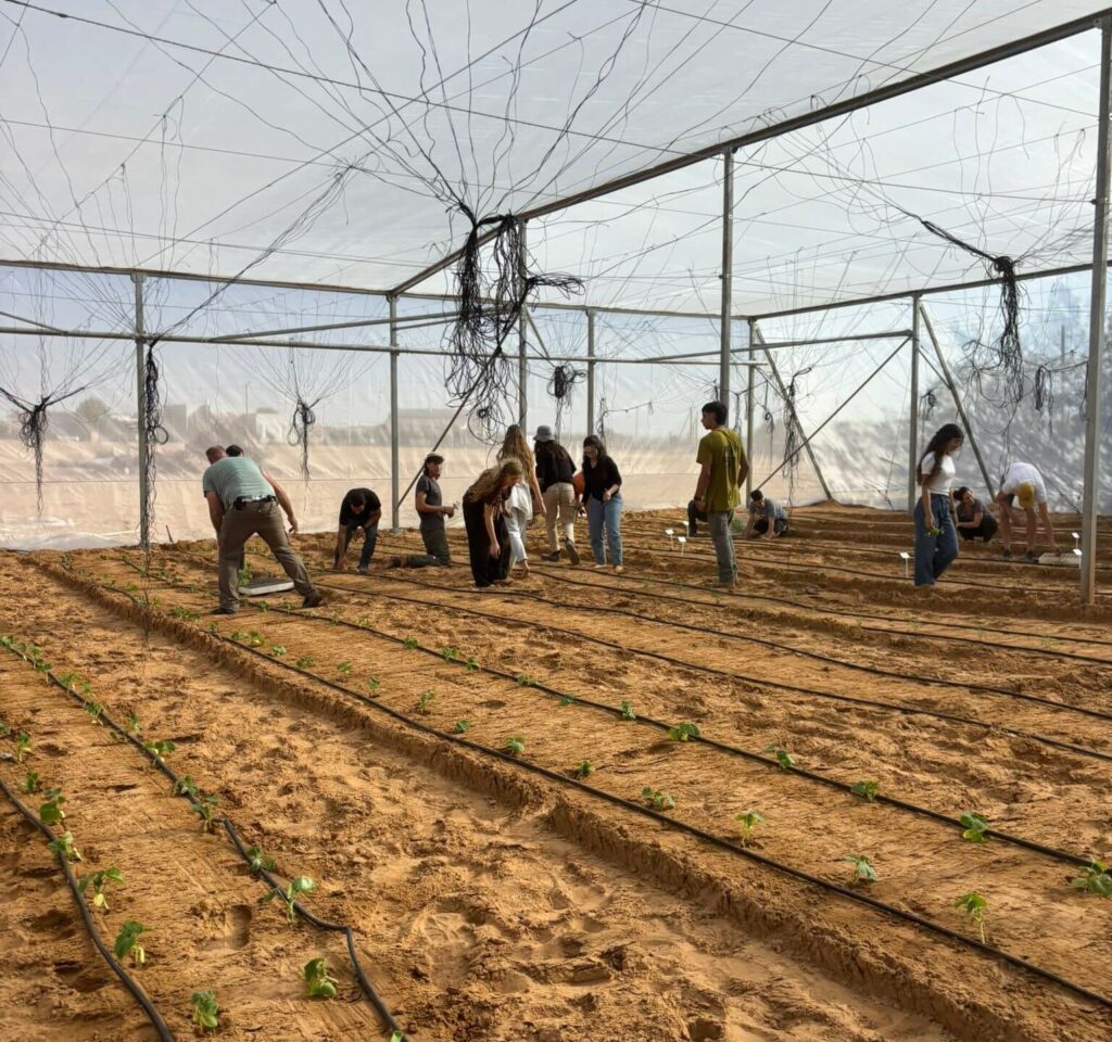 Students from across Israel learning at the agro-tech greenhouse